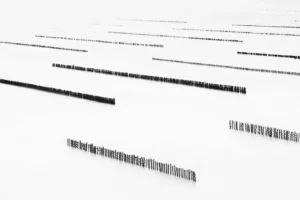 SEQUENCE #2