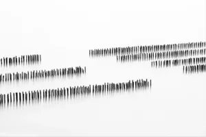 SEQUENCE #3