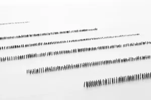 SEQUENCE #4