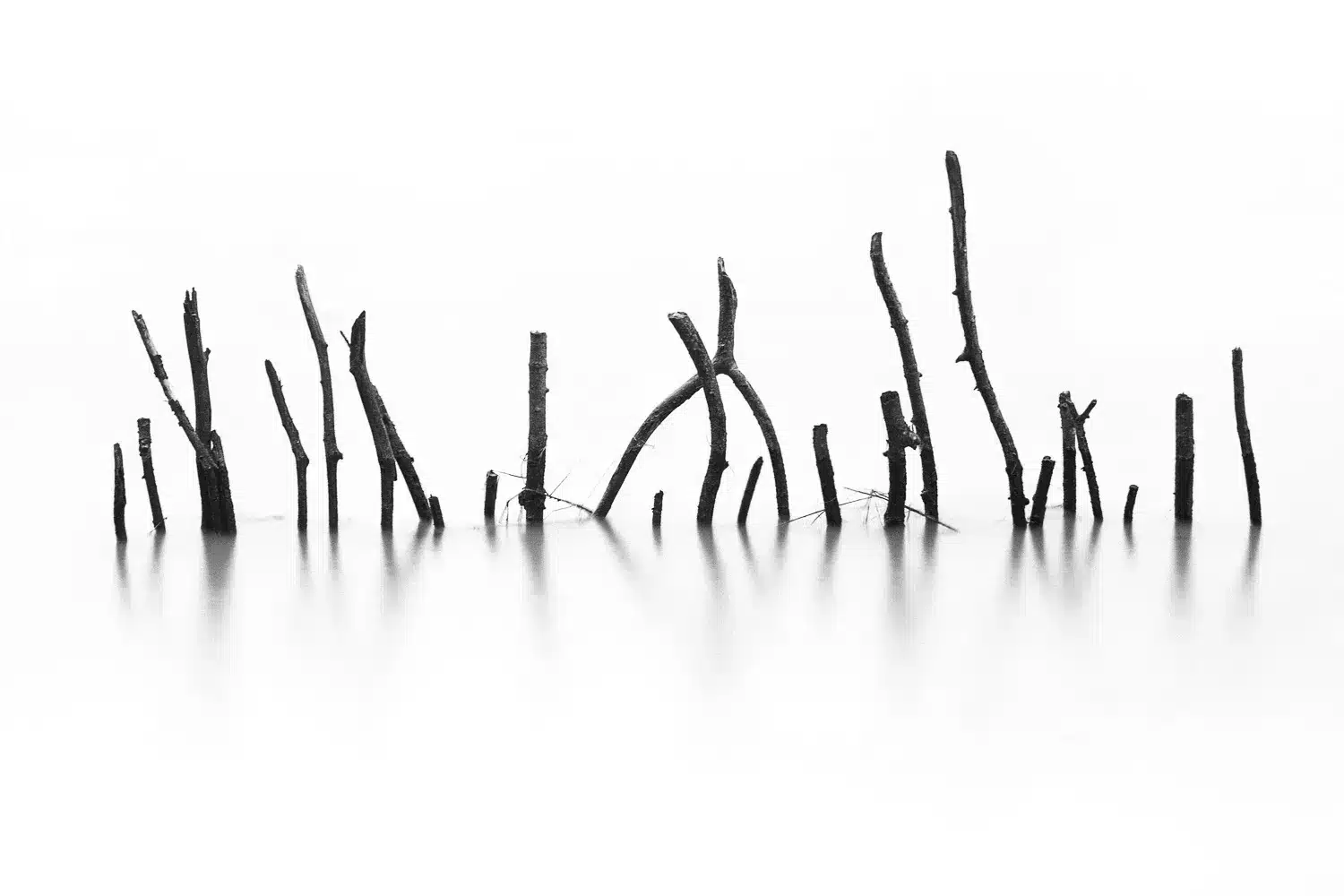 Galerie Wallpepper Photographie d art - ©marc josse - gestalt
